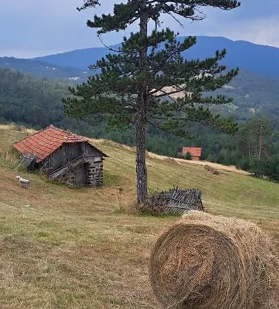 Kuca Carolija Feriehus Zlatibor