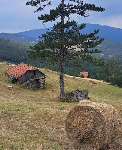 Kuca Carolija 度假居 兹拉蒂博尔